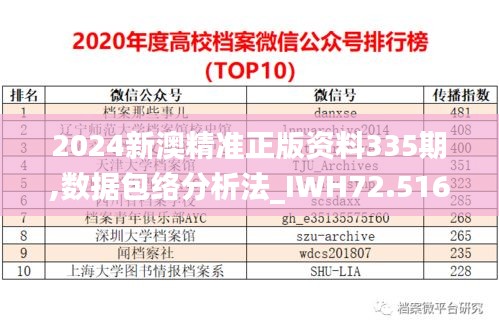 2024新澳精准正版资料335期,数据包络分析法_IWH72.516远程版