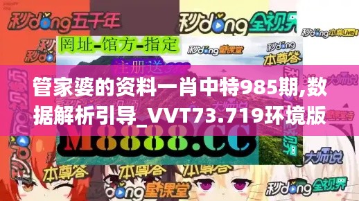 管家婆的资料一肖中特985期,数据解析引导_VVT73.719环境版