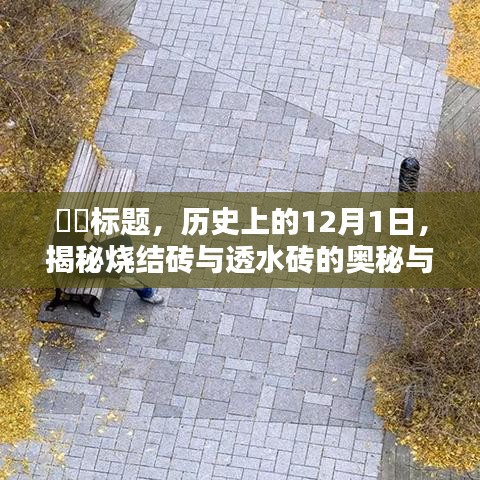 历史上的12月1日，揭秘烧结砖与透水砖的奥秘与差异对比