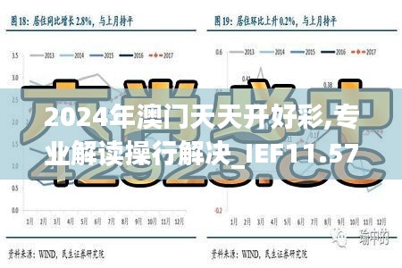 2024年澳门天天开好彩,专业解读操行解决_IEF11.570精致生活版