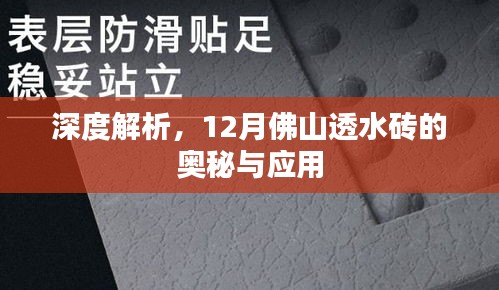 深度解析，佛山透水砖的奥秘与应用（12月专刊）