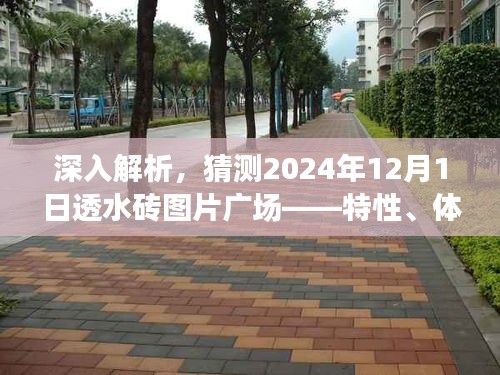 揭秘2024年透水砖图片广场，特性、体验、竞品对比及用户群体深度解析