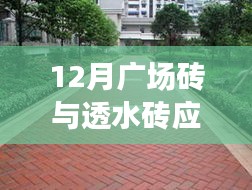 2024年12月1日 第19页