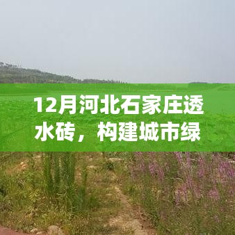 河北石家庄12月透水砖，城市绿色脉络的理想选择材料