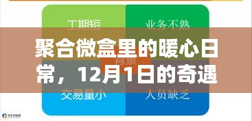 聚合微盒，暖心日常与奇遇交织的温情纽带，12月1日的故事篇章