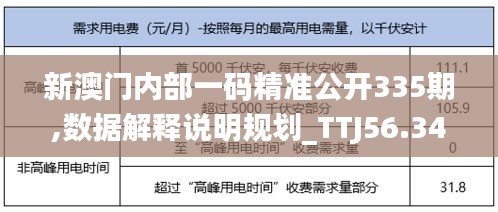 新澳门内部一码精准公开335期,数据解释说明规划_TTJ56.345仿真版