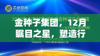 金种子集团，12月瞩目之星，引领行业新纪元发展