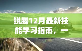 2024年12月1日 第11页