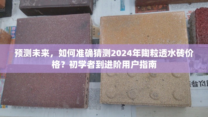 预测未来趋势，陶粒透水砖价格走向分析（初学者到进阶用户指南）