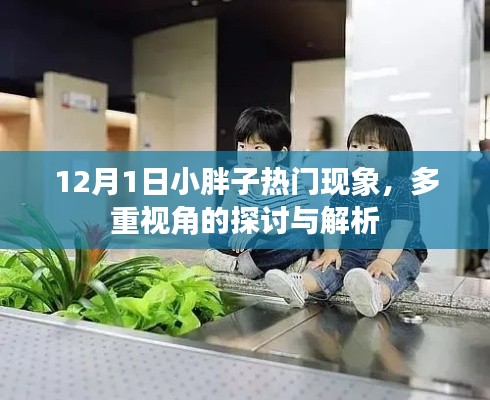 12月1日小胖子现象，多元视角的深入解析与探讨