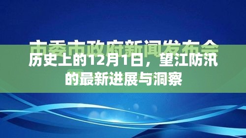 2024年12月1日 第7页