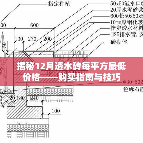 揭秘，12月透水砖每平米最低价格——购买指南与优惠秘籍