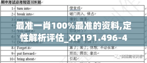 最准一肖100%最准的资料,定性解析评估_XP191.496-4