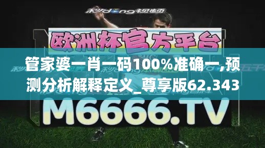 管家婆一肖一码100%准确一,预测分析解释定义_尊享版62.343-1