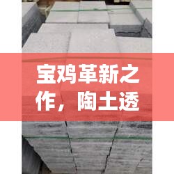 宝鸡陶土透水砖，科技革新与未来展望