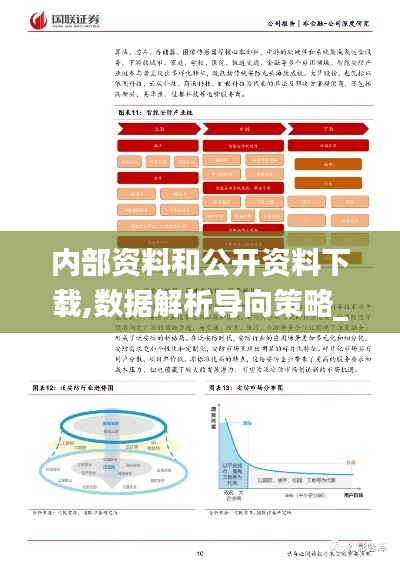 内部资料和公开资料下载,数据解析导向策略_VR74.310-7