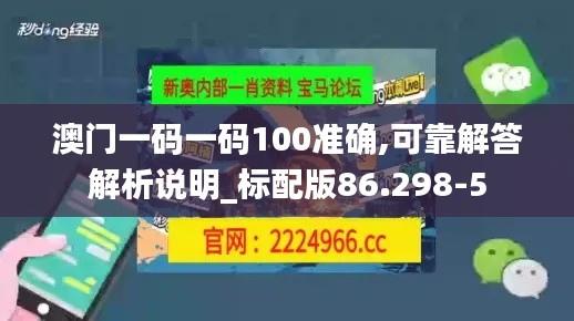 澳门一码一码100准确,可靠解答解析说明_标配版86.298-5