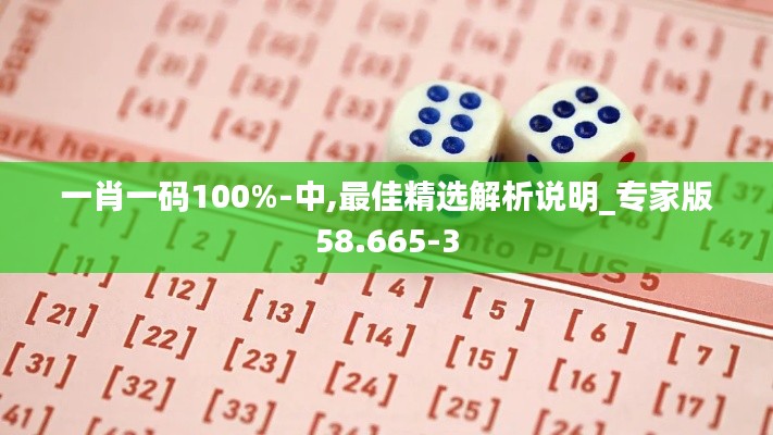 一肖一码100%-中,最佳精选解析说明_专家版58.665-3