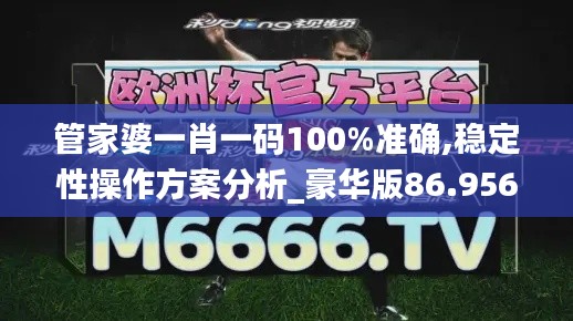 管家婆一肖一码100%准确,稳定性操作方案分析_豪华版86.956-9