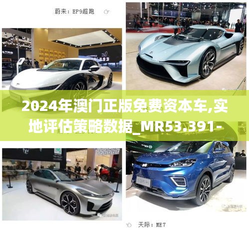 2024年澳门正版免费资本车,实地评估策略数据_MR53.391-7