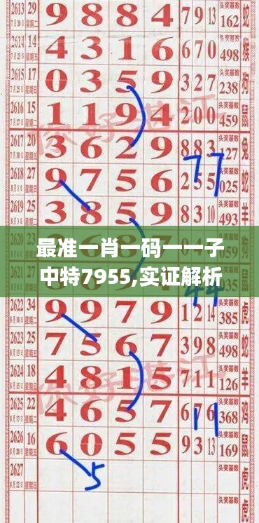 最准一肖一码一一子中特7955,实证解析说明_影像版61.563-2