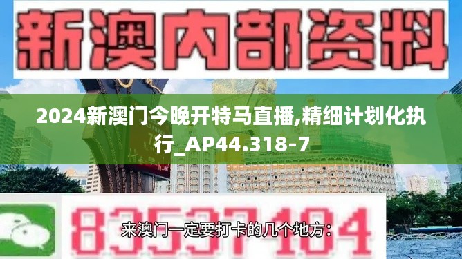 2024新澳门今晚开特马直播,精细计划化执行_AP44.318-7