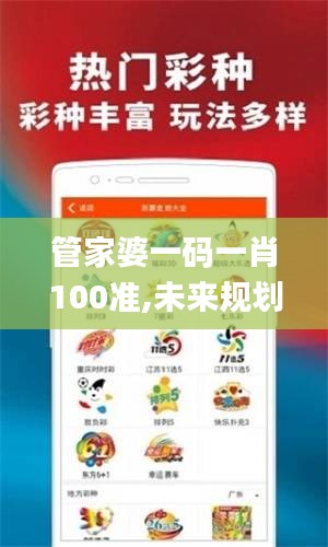 管家婆一码一肖100准,未来规划解析说明_3DM13.693-4