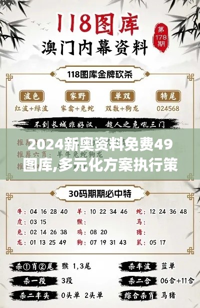 2024新奥资料免费49图库,多元化方案执行策略_体验版78.164-1