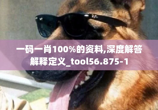 一码一肖100%的资料,深度解答解释定义_tool56.875-1