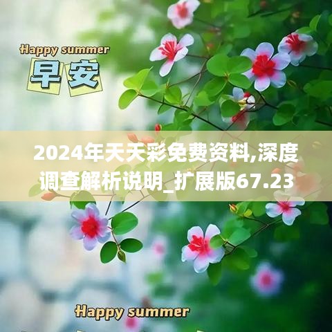 2024年天天彩免费资料,深度调查解析说明_扩展版67.237-7