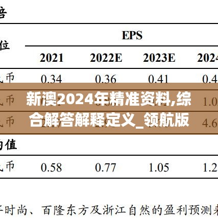 新澳2024年精准资料,综合解答解释定义_领航版55.304-6