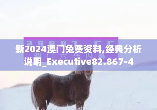 新2024澳门兔费资料,经典分析说明_Executive82.867-4