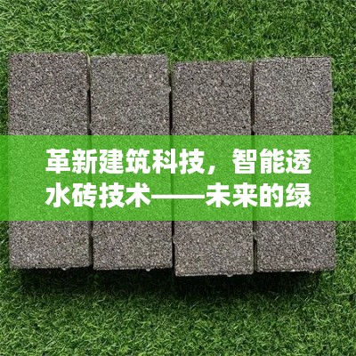 革新建筑科技，智能透水砖技术——绿色建材的未来之选