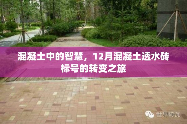 混凝土智慧探索，12月透水砖标号转变之旅