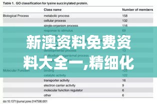 新澳资料免费资料大全一,精细化执行计划_UHD版83.331-8