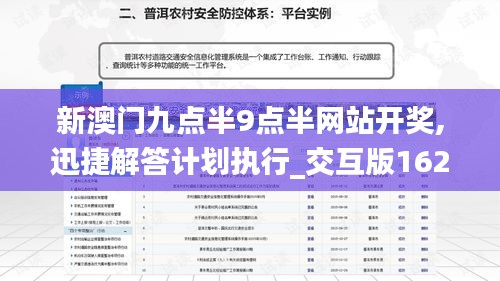 新澳门九点半9点半网站开奖,迅捷解答计划执行_交互版162.249-5