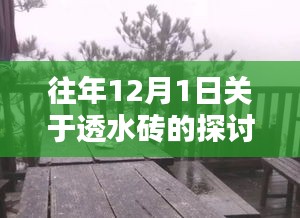 往年12月1日深度探讨透水砖，理解其内在价值与应用前景