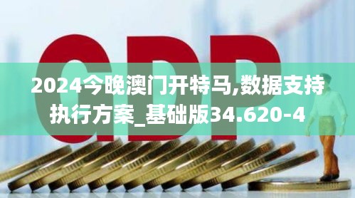 2024今晚澳门开特马,数据支持执行方案_基础版34.620-4