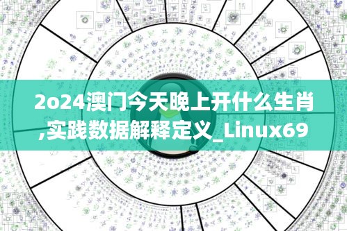 2o24澳门今天晚上开什么生肖,实践数据解释定义_Linux69.176-1