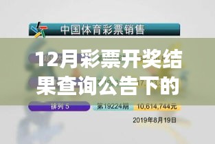 多维度视角下的彩票开奖结果查询公告分析，深度探讨与解读