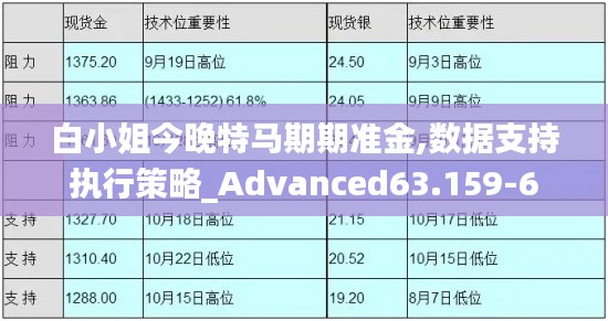 白小姐今晚特马期期准金,数据支持执行策略_Advanced63.159-6