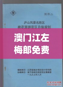 澳门江左梅郎免费资料,高效计划设计实施_Gold27.756-1