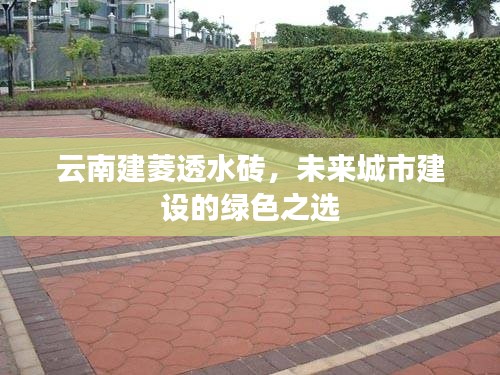 云南建菱透水砖，未来城市建设的绿色首选材料