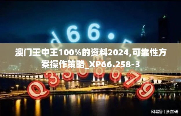 澳门王中王100%的资料2024,可靠性方案操作策略_XP66.258-3