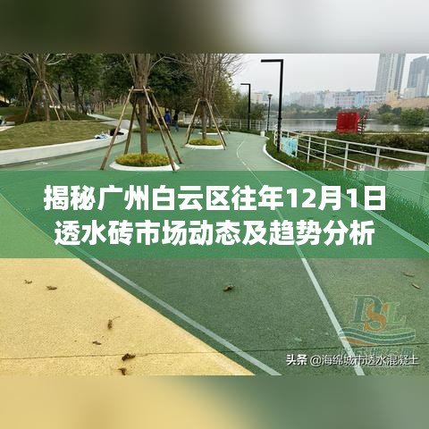 广州白云区往年12月1日透水砖市场动态深度解析与趋势展望