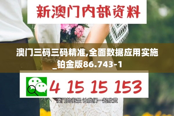 澳门三码三码精准,全面数据应用实施_铂金版86.743-1