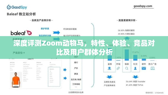 深度解析Zoom动物马，特性、体验、竞品对比及用户群体全方位测评报告