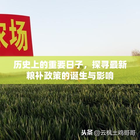 历史重要时刻，最新粮补政策的诞生及其深远影响