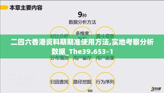 二四六香港资料期期准使用方法,实地考察分析数据_The39.653-1