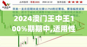 2024澳门王中王100%期期中,适用性方案解析_Harmony款22.740-7